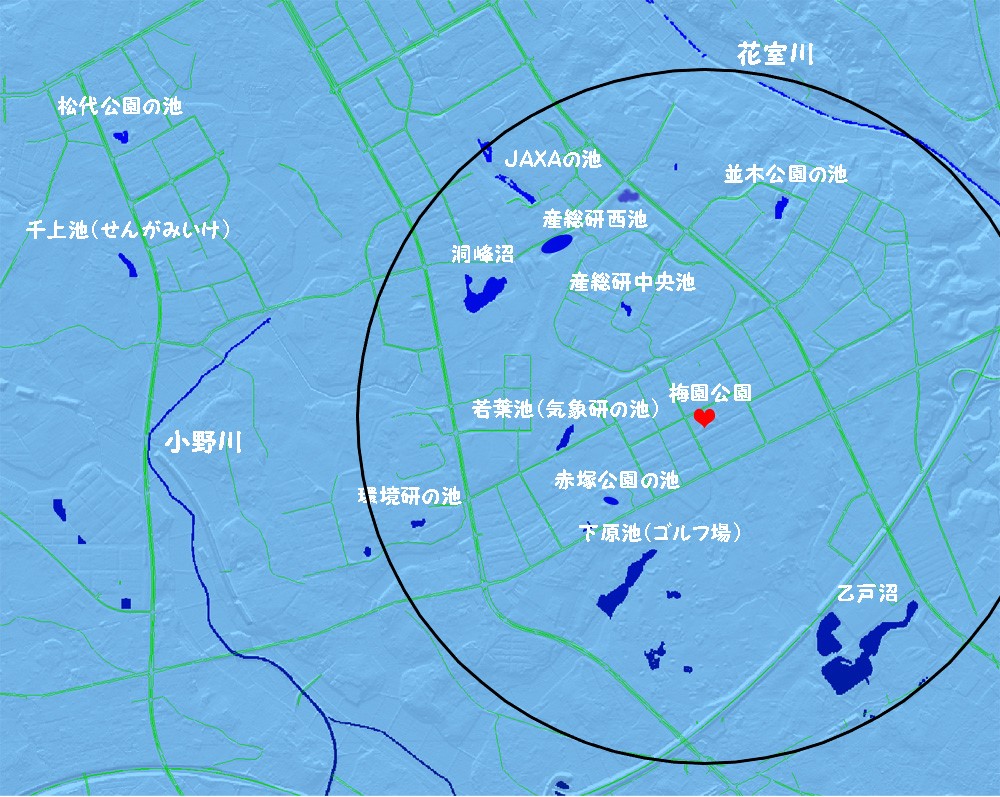 梅園周辺の池
