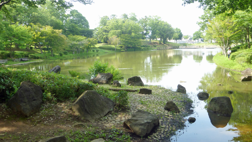 並木公園池