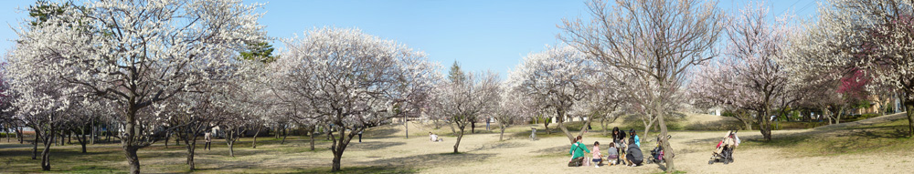 梅園公園
